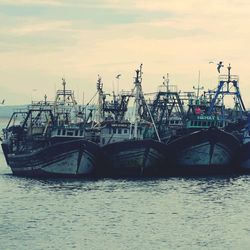 Boats in harbor