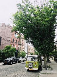 Car on tree in city against sky