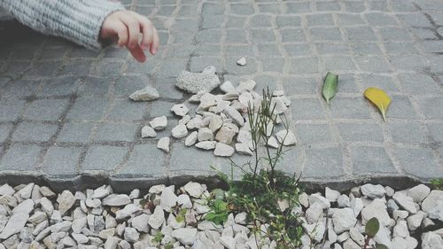 Low section of person standing on pebbles