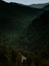 Scenic view of forest and mountains