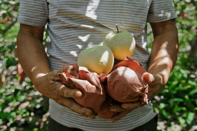 Midsection of farmer holding fruits