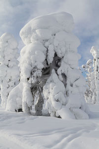 Close-up of snow covered land against sky