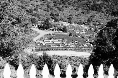 Panoramic shot of trees on landscape