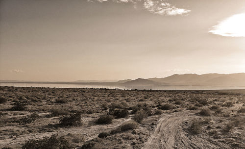 Scenic view of desert against sky