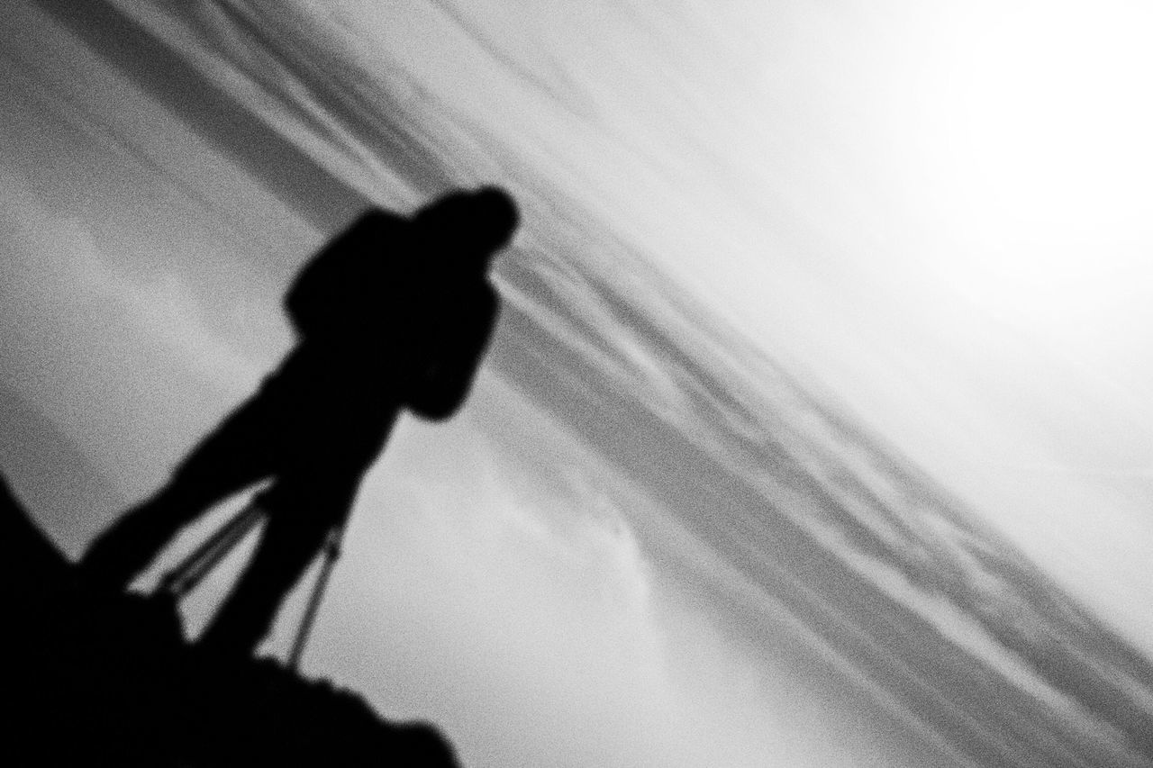 silhouette, shadow, low angle view, focus on shadow, outline, sunlight, day, full length, walking, outdoors, unrecognizable person, one animal, high angle view, sky, copy space, standing, lifestyles