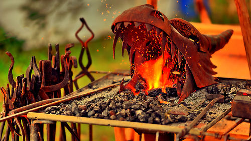 Close-up of bonfire on log