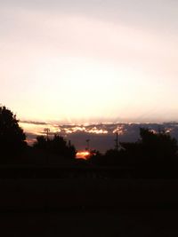 Silhouette of trees at sunset