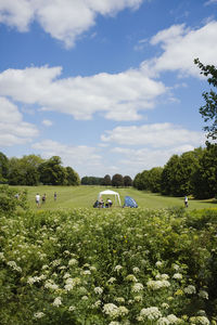 A tent like pagoda in richmond deer park on a summer day