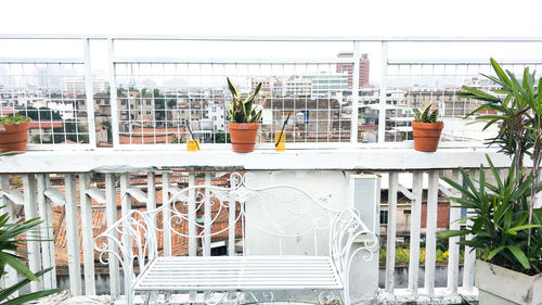 View of potted plants in balcony against buildings