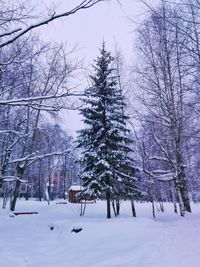 Bare trees on snow covered landscape