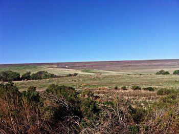 Scenic view of landscape against clear blue sky