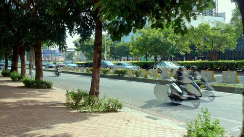 People sitting by palm trees in city