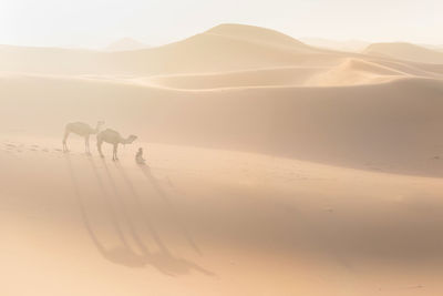 Scenic view of desert against sky