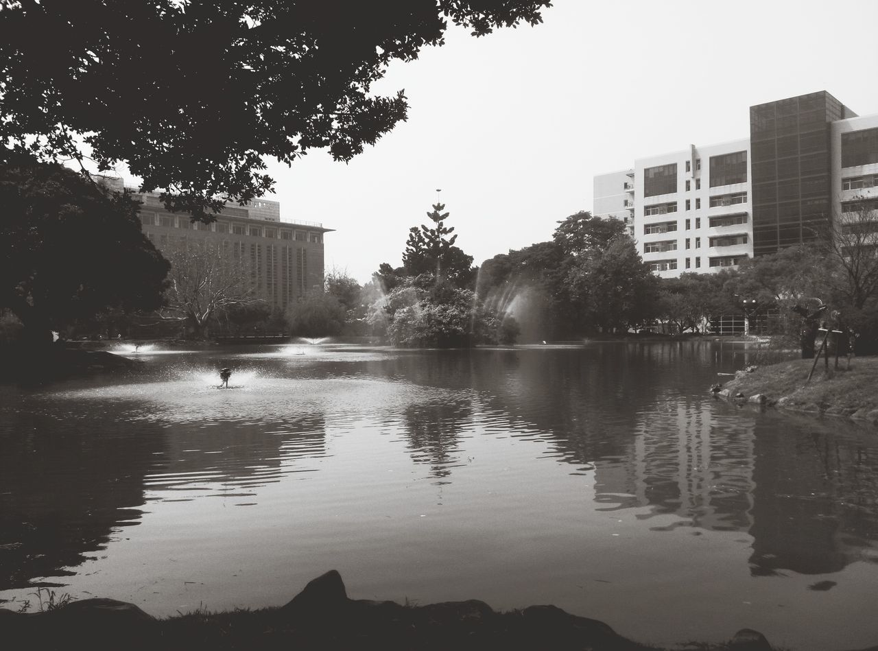 building exterior, architecture, water, built structure, reflection, bird, city, tree, waterfront, animals in the wild, clear sky, wildlife, animal themes, lake, river, building, sky, pond, outdoors, day