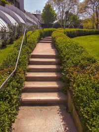 Footpath in park