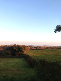 Scenic view of field against clear sky