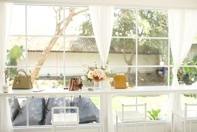 Potted plants on glass window