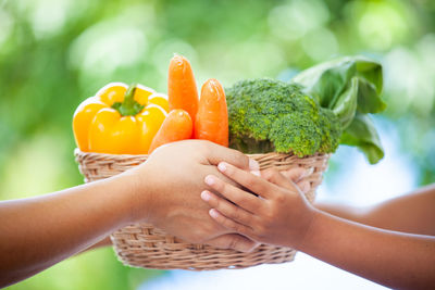 Cropped hands of vegetables in wicker basket