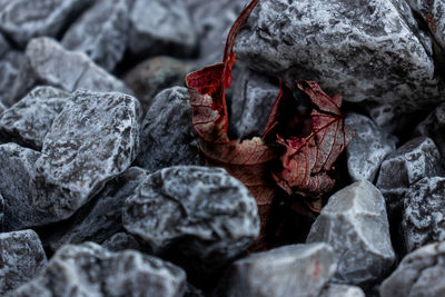 Full frame shot of rocks