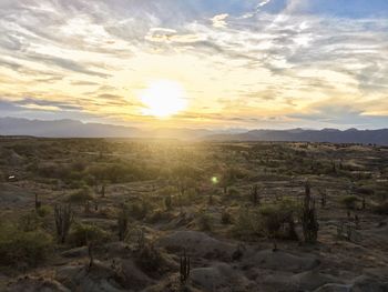 Scenic view of field against sky during sunset