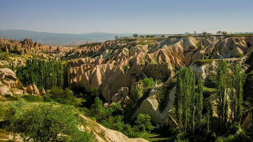 Trees on landscape with mountain range in background