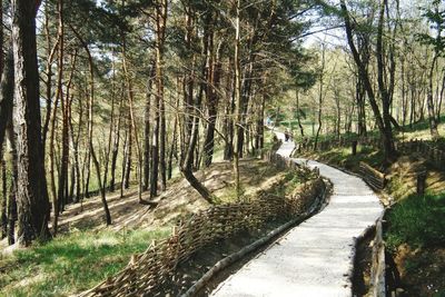 Panoramic view of road amidst trees in forest