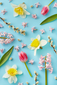 Close-up of pink flowers