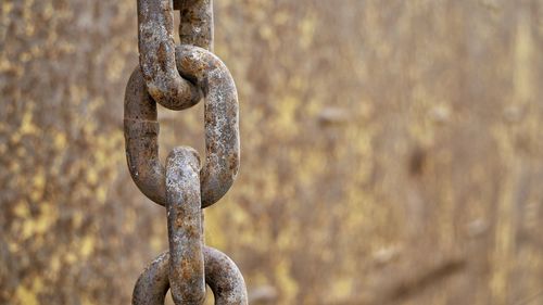 Close-up of rusty chain