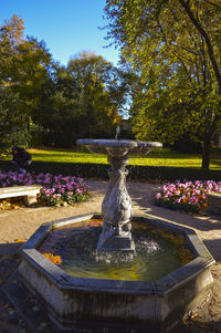 Fountain in park