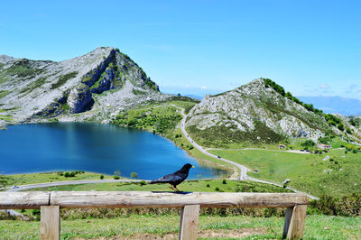 Scenic view of mountain against blue sky