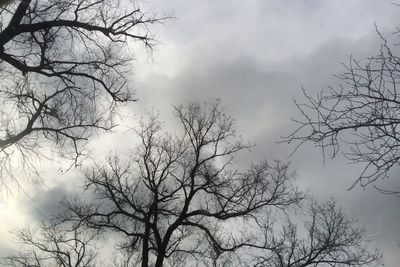 Low angle view of bare trees against cloudy sky