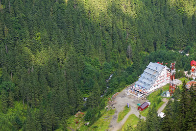 Aerial view of hotel amidst trees