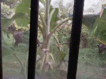 Full frame shot of fence against window