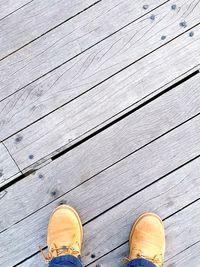 Low section of person standing on wooden floor