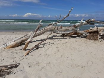 Driftwood on beach by sea against sky