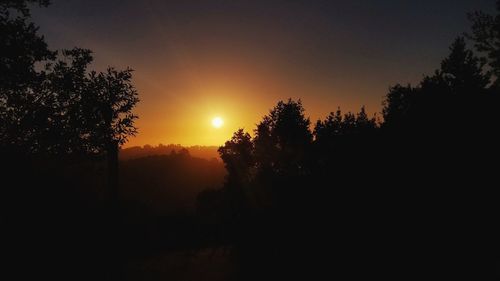 Silhouette trees against sky during sunset