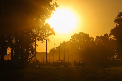 Silhouette trees on field against sky during sunset