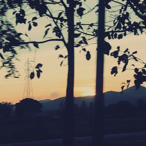 Silhouette trees on landscape against sky at sunset