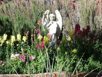 Close-up of statue in the garden