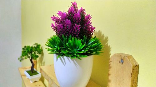 Close-up of potted plant on table against wall