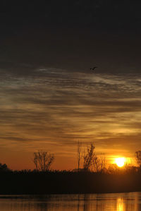 Silhouette bird flying over sea against sky during sunset