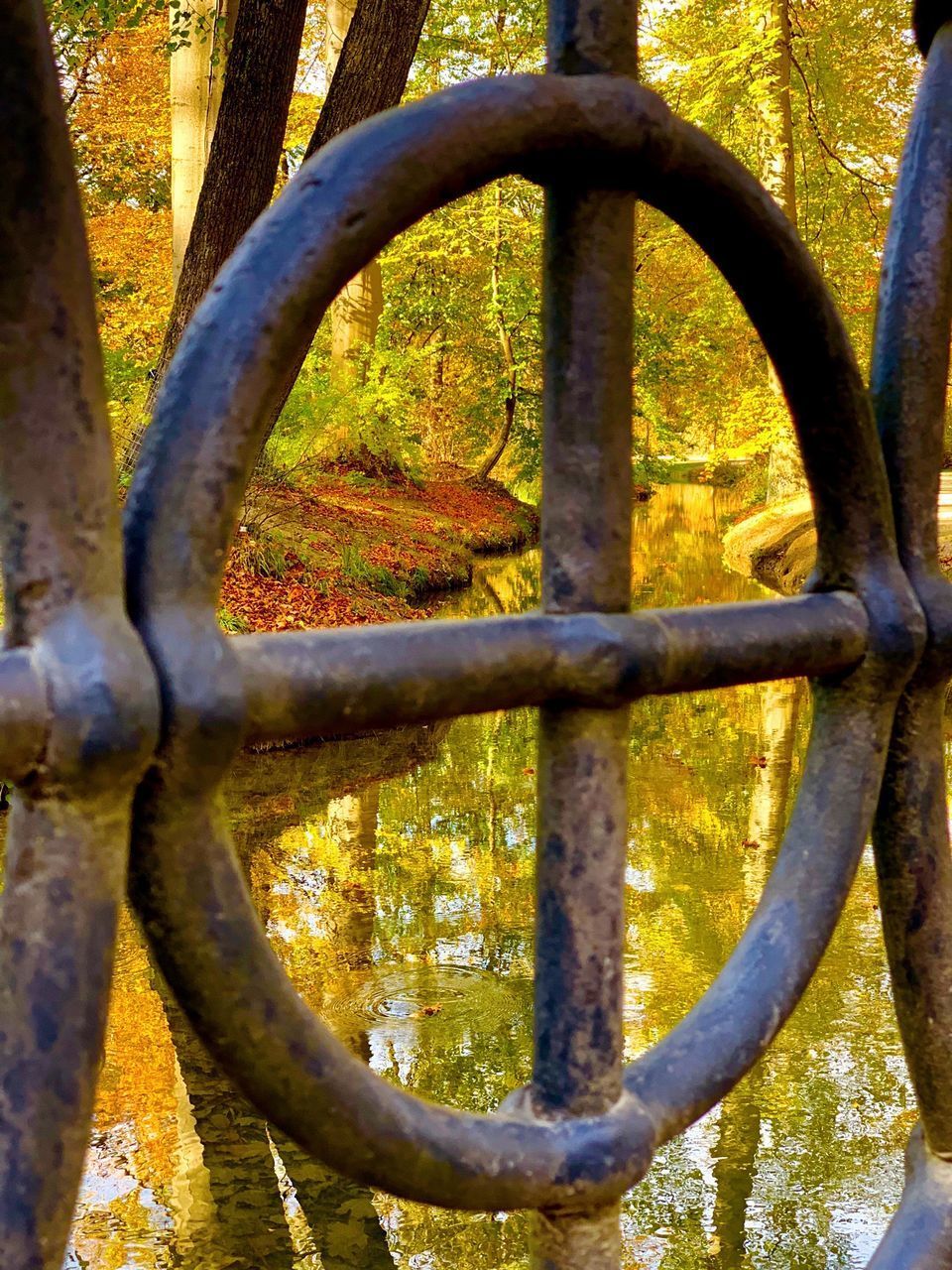 CLOSE-UP OF RUSTY METAL FENCE AGAINST TREE