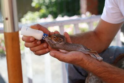 Cropped image of man feeding young squirrel