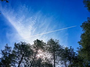 Low angle view of silhouette trees against blue sky