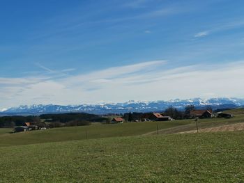 Scenic view of field against sky