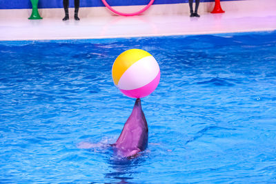Low section of pink swimming in pool