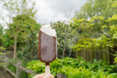 Hand holding ice cream cone against plants