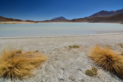 Scenic view of desert against clear sky