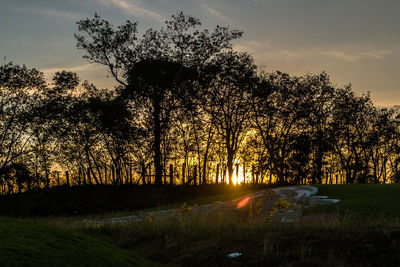 Silhouette trees against sky during sunset