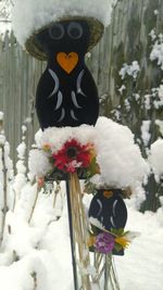 Close-up of flower in snow